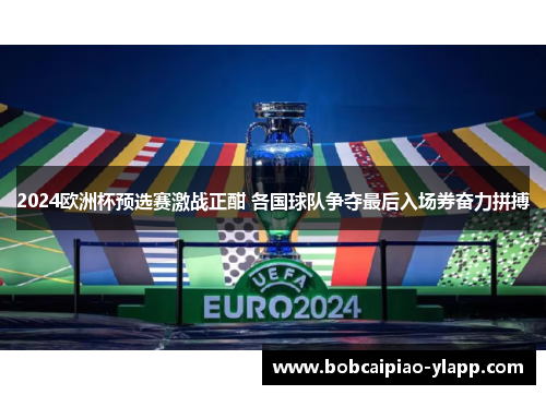 2024欧洲杯预选赛激战正酣 各国球队争夺最后入场券奋力拼搏