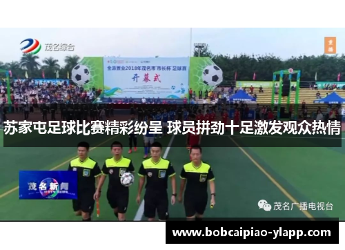 苏家屯足球比赛精彩纷呈 球员拼劲十足激发观众热情