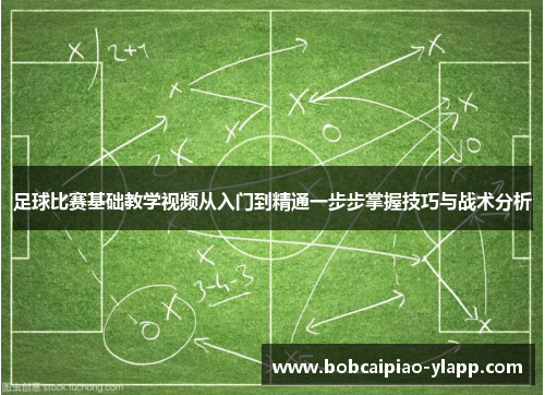 足球比赛基础教学视频从入门到精通一步步掌握技巧与战术分析