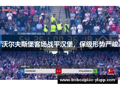 沃尔夫斯堡客场战平汉堡，保级形势严峻